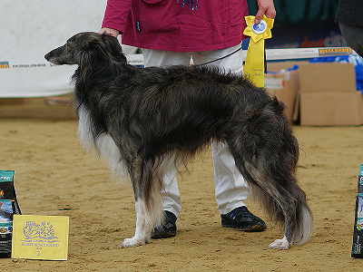 Endevor Prince of Thieves - Silken Windhound