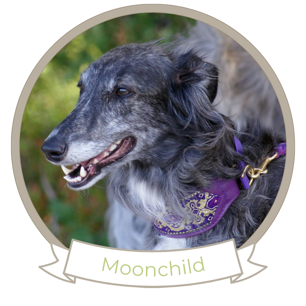 Moonchild of SilkenJoy